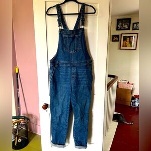 Denim Overalls